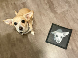 Personalized Custom 3D Printed Pet Portraits