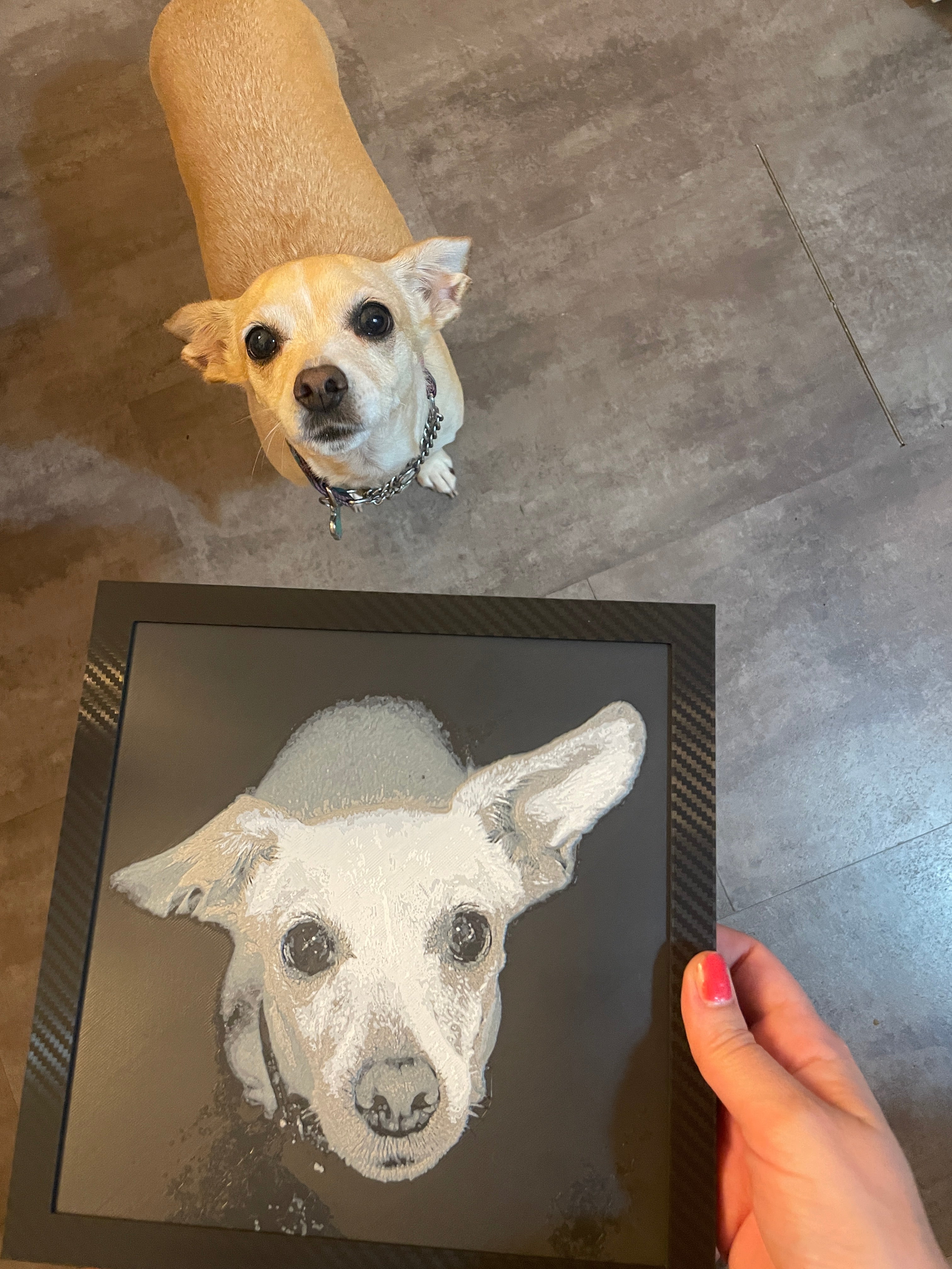 Personalized Custom 3D Printed Pet Portraits